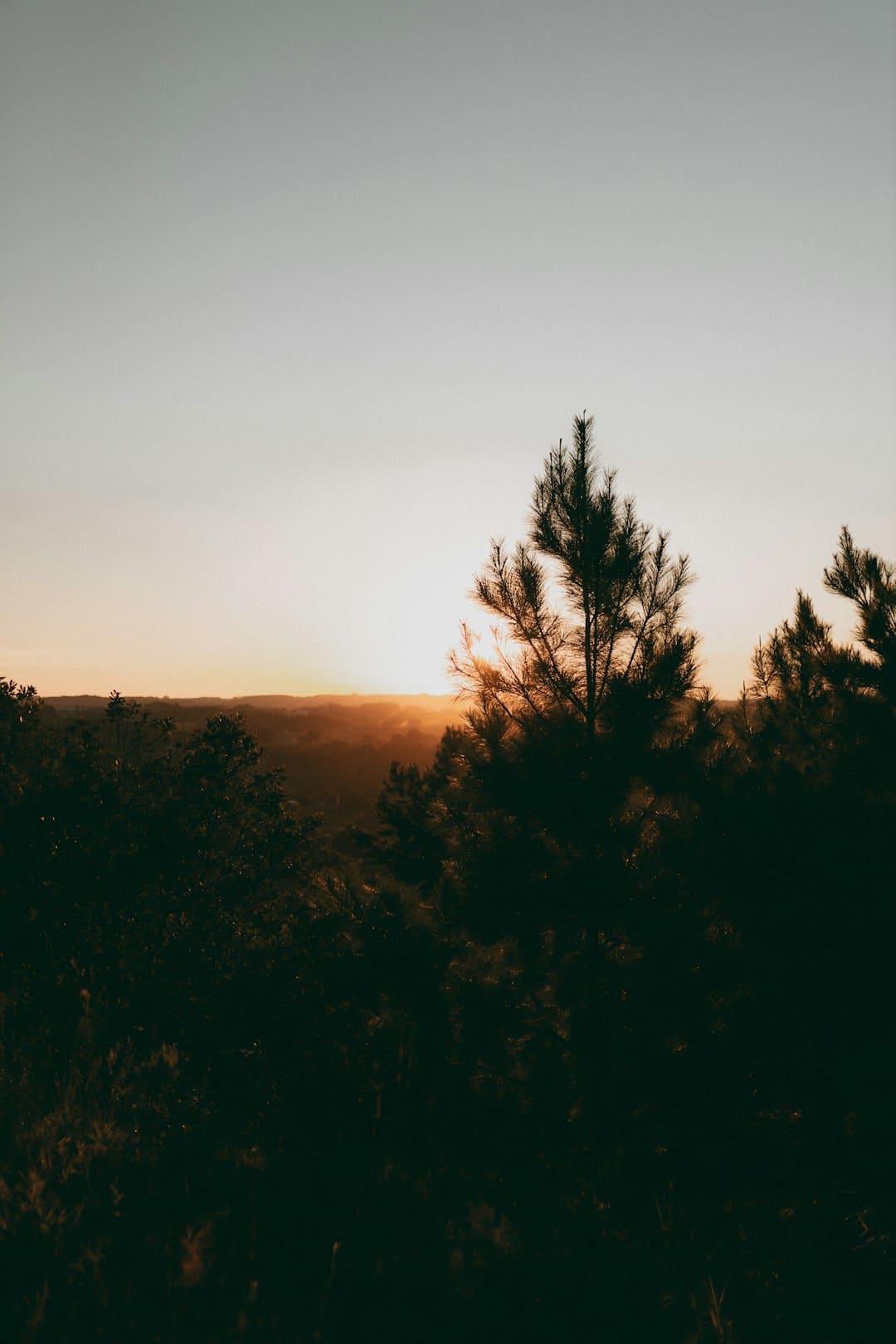 织女看了都点赞 传承非遗才是七夕的“躲藏大招”|我的节节·七夕篇